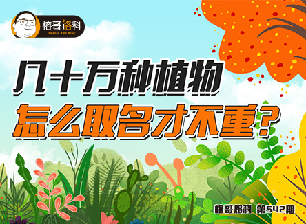 【榕哥烙科】第542期：几十万种植物，怎么取名才不重？