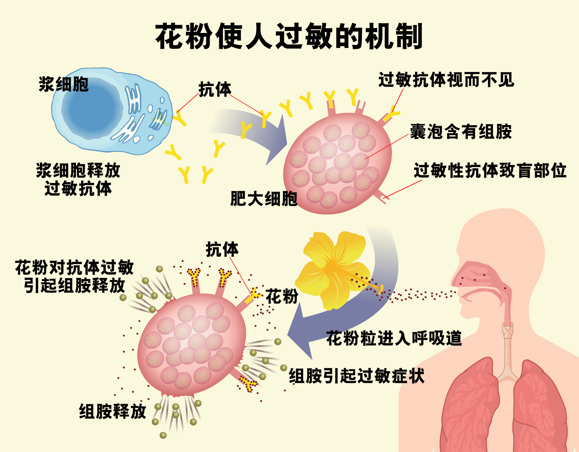 花粉,过敏,春季