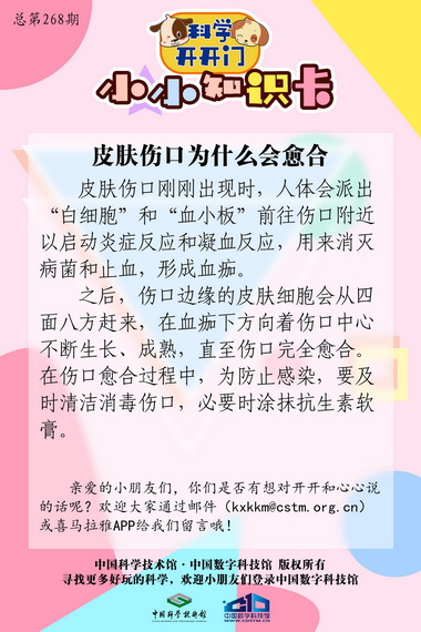 皮肤破损,皮肤伤口为什么会愈合